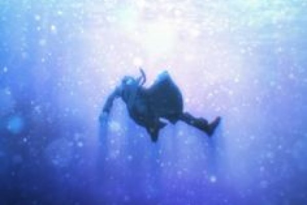 Kraken19 at