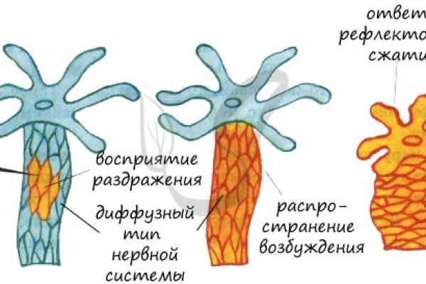 Ссылка на кракен официальный сайт