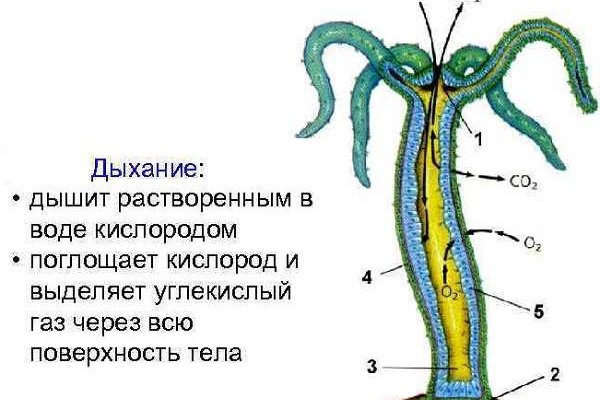 Купон кракен супернет