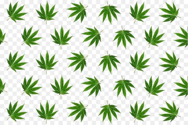 Кракен ссылка тор kr2web in