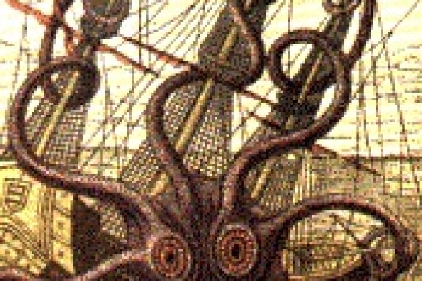Kraken dark