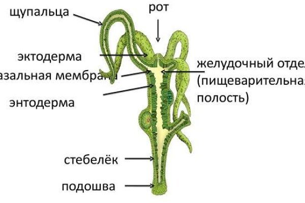 Как вернуть аккаунт на кракене